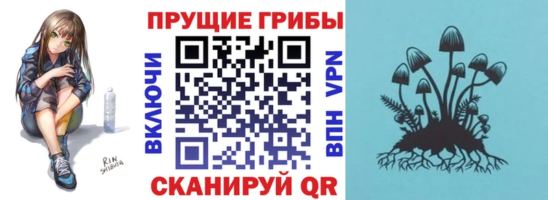 Псилоцибиновые грибы мухоморы  Белозерск 